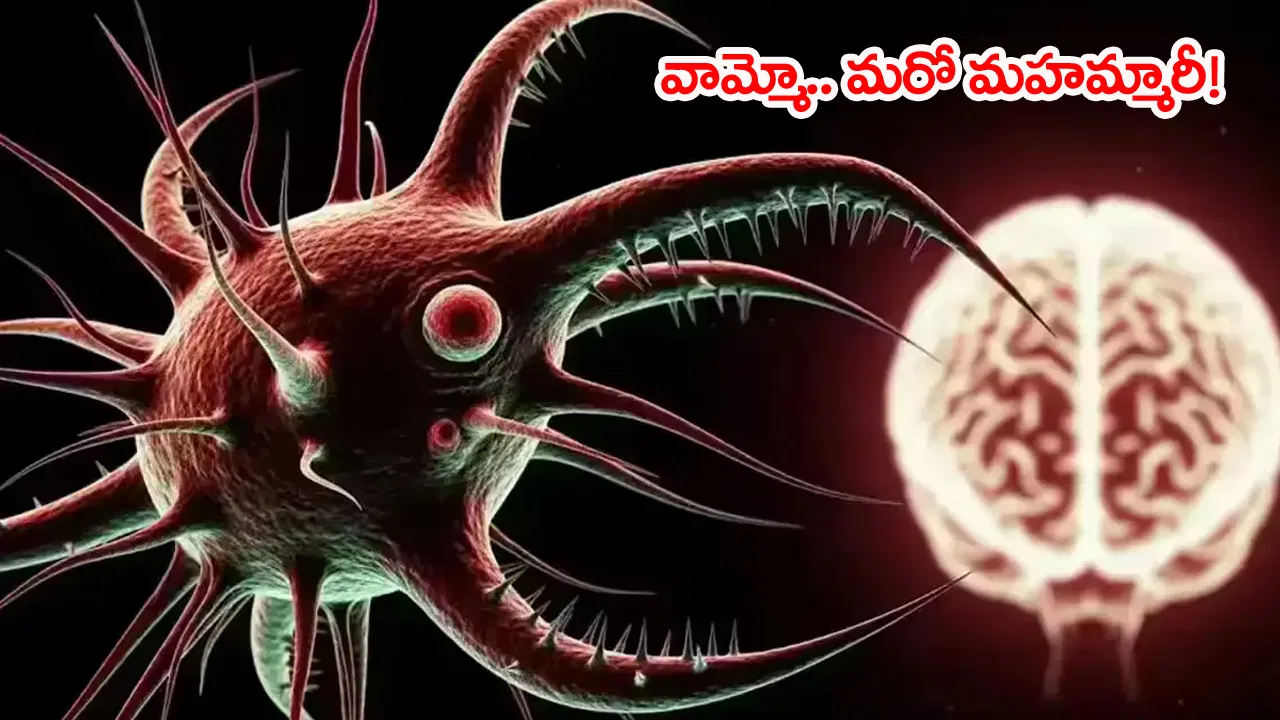 brain eating amoeba